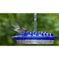 ❤️Mother's Day Sale 49% OFF-🐦Hummingbird Feeder With Perch And Built-in Ant Moat