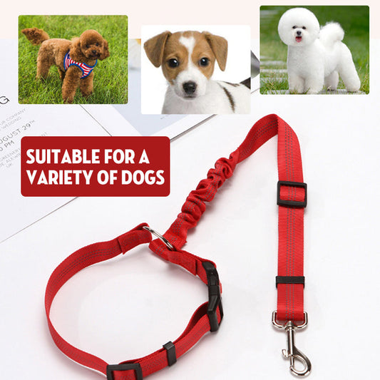 Adjustable Car Dog Leash